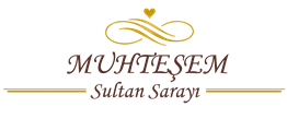 logo1-3